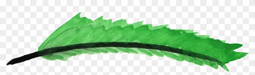 7 Watercolor - Green Feather Png #490733