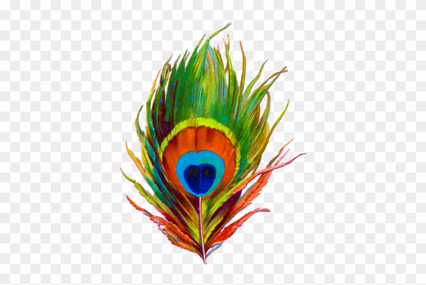 Peacock Feather Png Designs Png Images - Peacock Feathers Png Transparent #490736