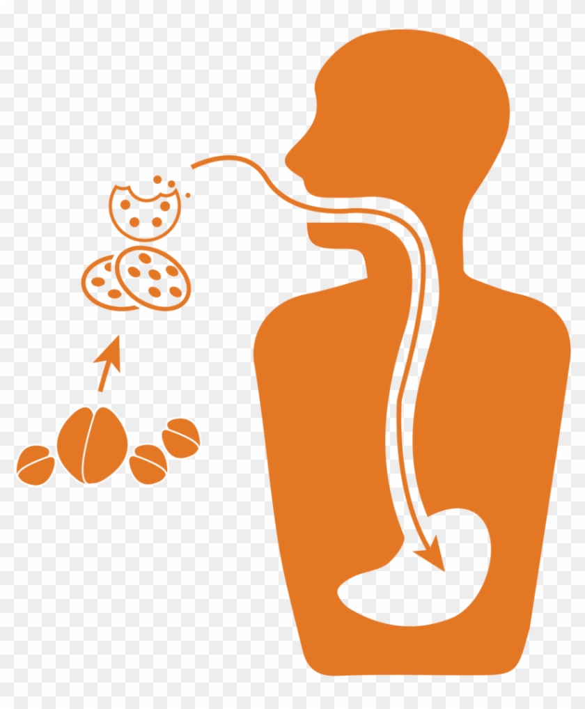 Impacts Our Food System - Indigestion #490823