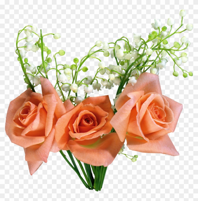 Roses With Lily Of The Valley - Flower #491171