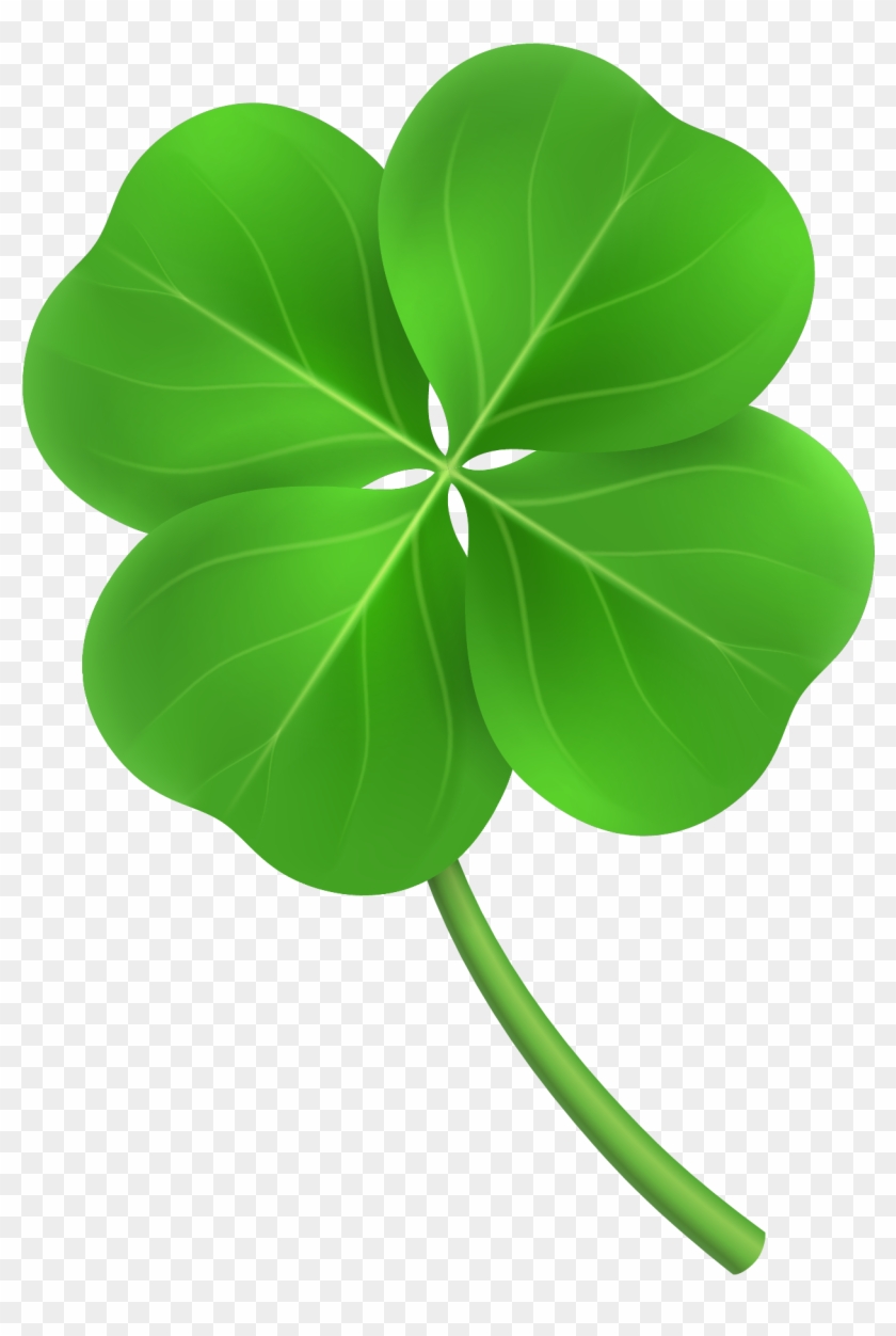 Clover Png Transparent Free Images Only - Cartoon #491224