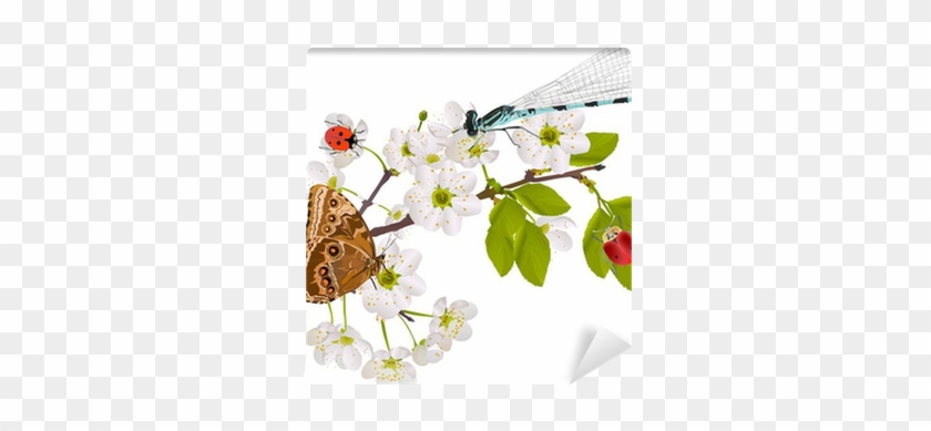 Cherry Tree Flowers And Bright Insects On White Wall - Falling Flower Vector #491427