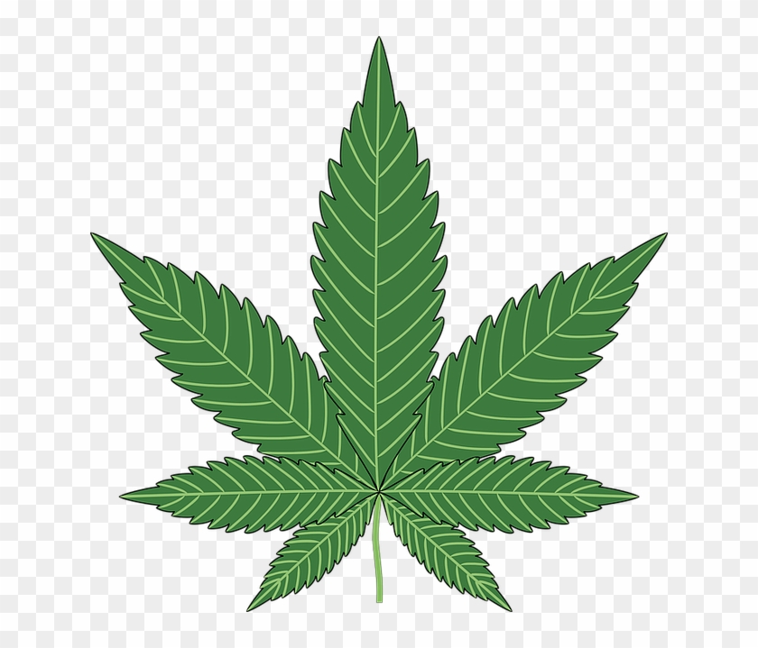 Advantages Of Legalizing Marijuana - Cannabis Png #491553