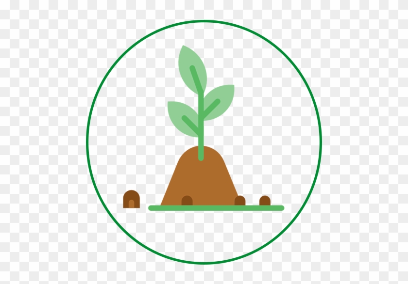 Soil Clipart Plant Needs - Circle Divided Into Sixths #491629