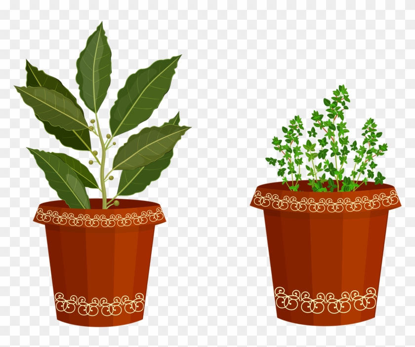 Herb Garden Clipart Cliparthut Free Clipart - Spice #491658