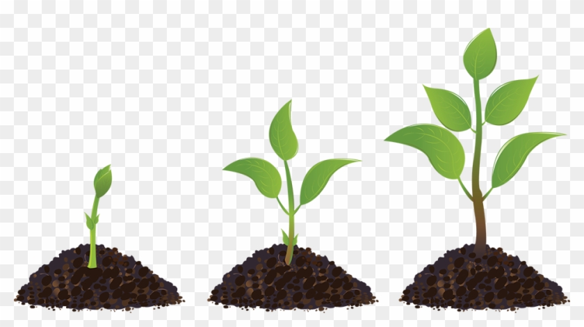 Church Planting Forums Home - Social Entrepreneur's Playbook, Expanded Edition - #491796