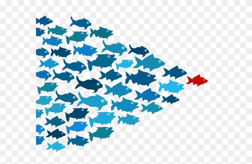 School Of Fish Transparent Png - Now, Discover Your Strengths #492303