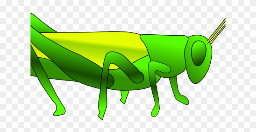 Grasshopper Clipart Small - Grasshopper Clip Art #492747