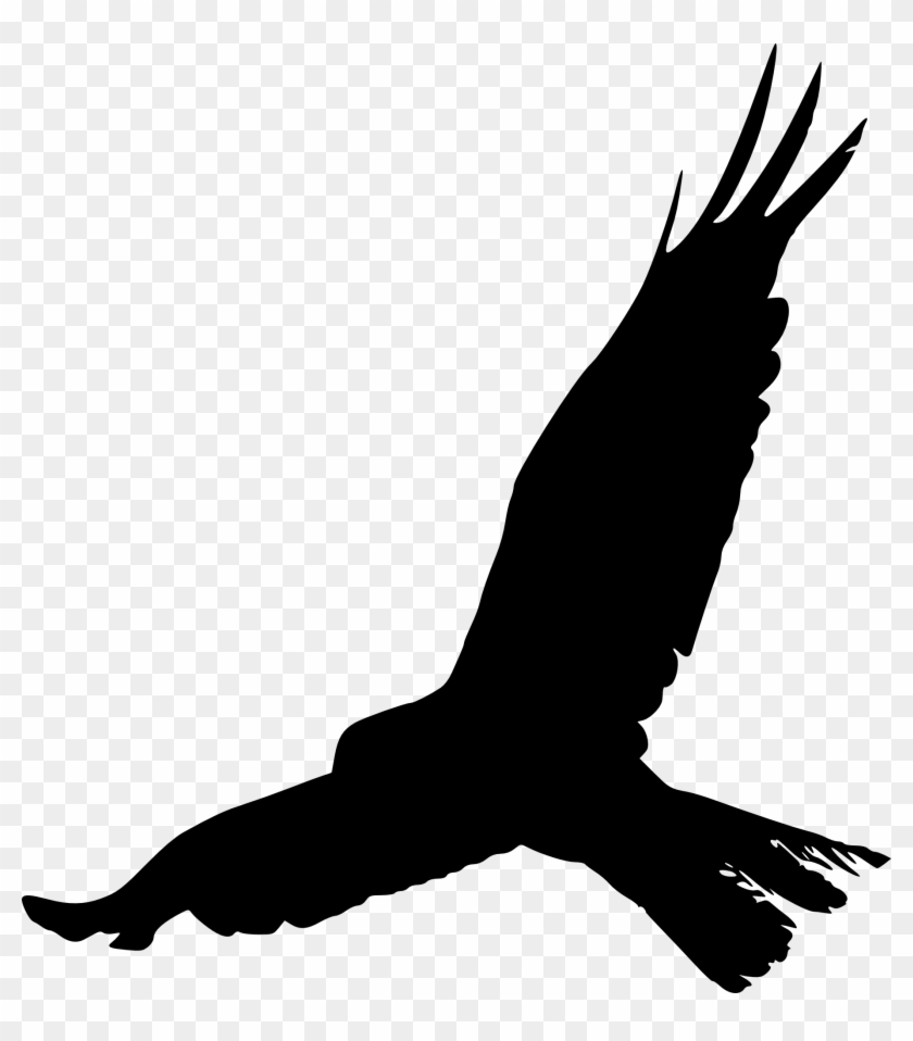 Bird Crows Silhouette Beak Feather - Bird Silhouette Png #492764