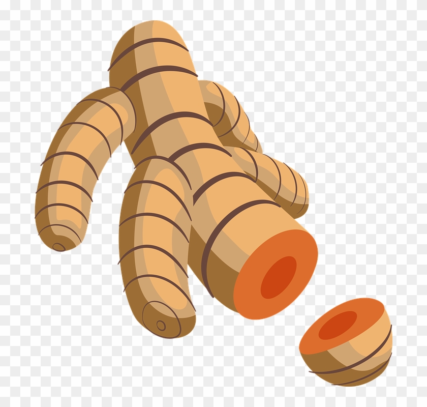 Meal Worm Cliparts 13, Buy Clip Art - Turmeric #493081