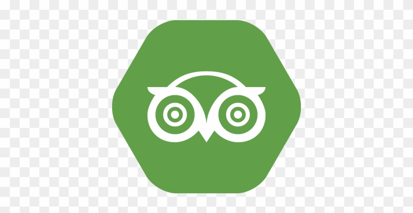 10 Apr 2015 - Tripadvisor Logo Vector Png #493259