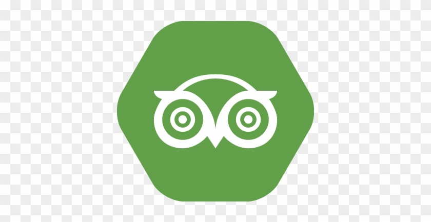 10 Apr 2015 - Tripadvisor Logo Vector Png #493259