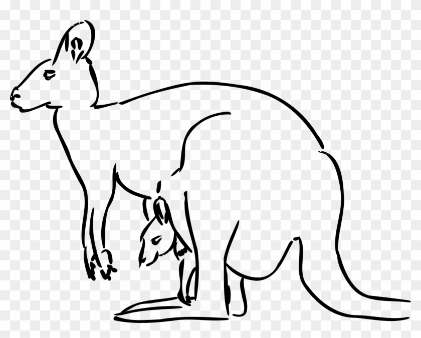 Kangaroo - Clipart - Kangaroo Black And White Clipart #493497