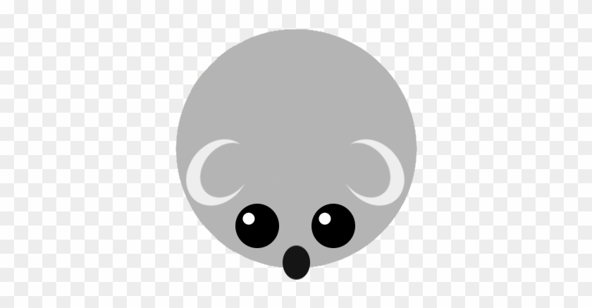 Koala - Koala #493528