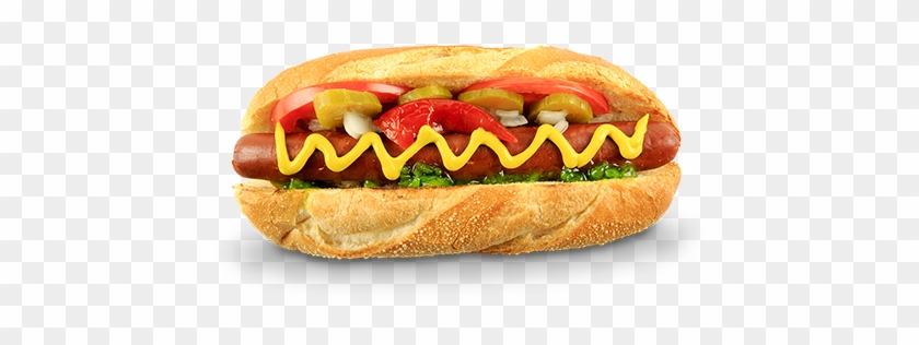 Hotdog Pictures - Hot Dog #493714