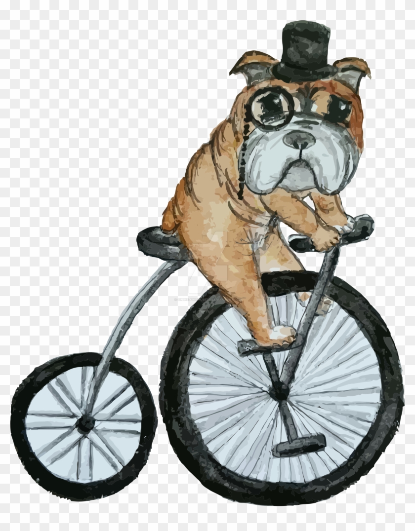 English Bulldog Riding A Penny Farthing By Sinine Marmosett - English Bulldog 5'x7'area Rug #494423