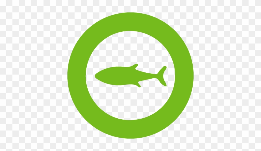 Marine-protected Areas, Climate Change, Sustainable - Halten Und Parken Verboten #494983