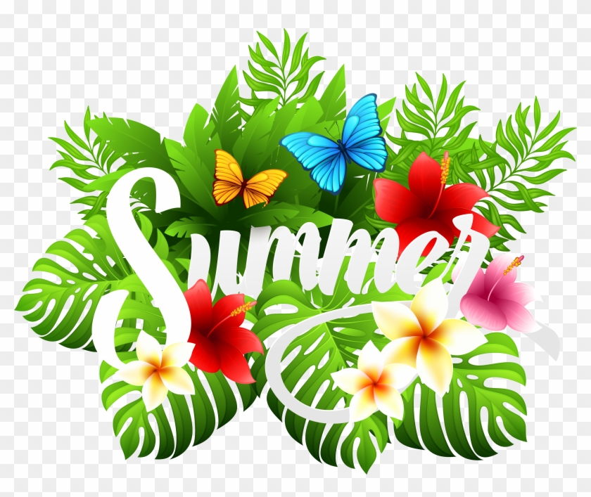 Summer Decorative Image Clipart - Summer Clip Art Png #495186
