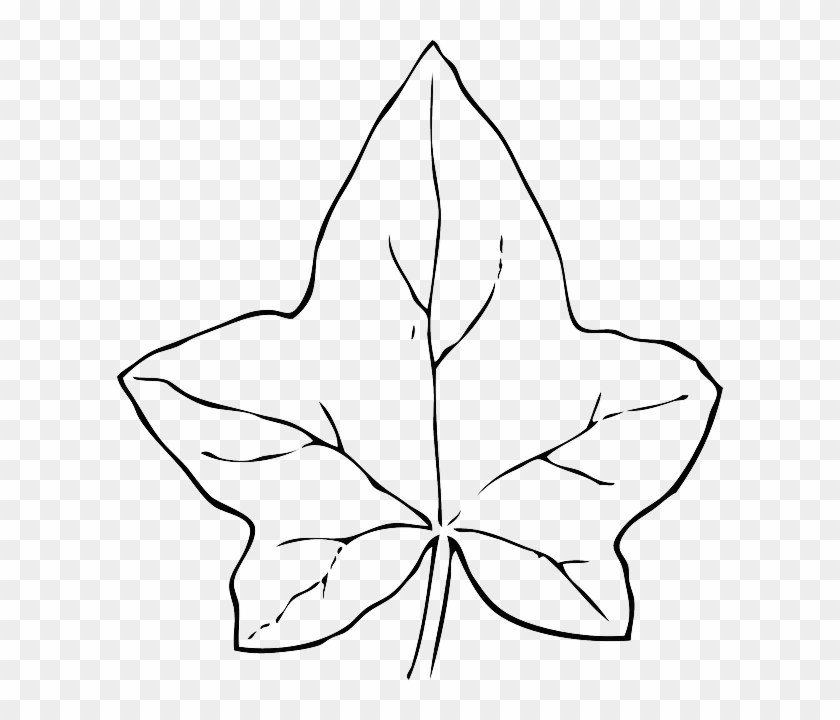 Pumpkin Leaf Vine Clip Art - Pumpkin Leaf Vine Clip Art #495297