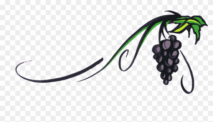Vine Cliparts Transparent - Grape Vine Clip Art #495304