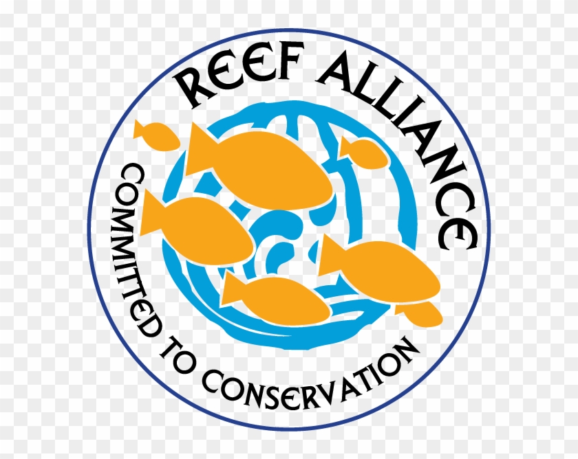 This Saturday Is Ocean Conservancy's Annual International - Coral Reef Alliance #495476