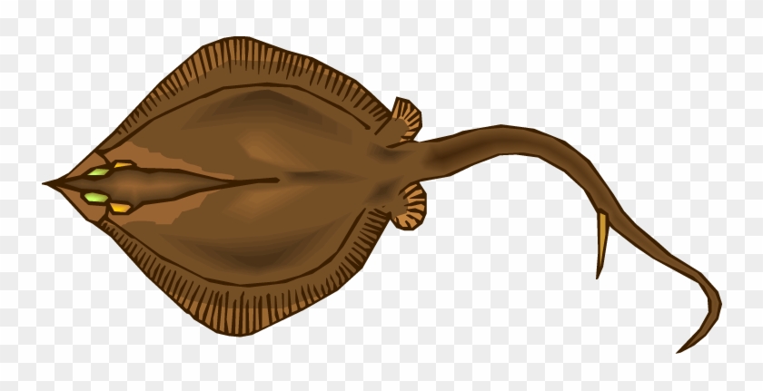 Stingray - Clipart Brown Stingray #495579