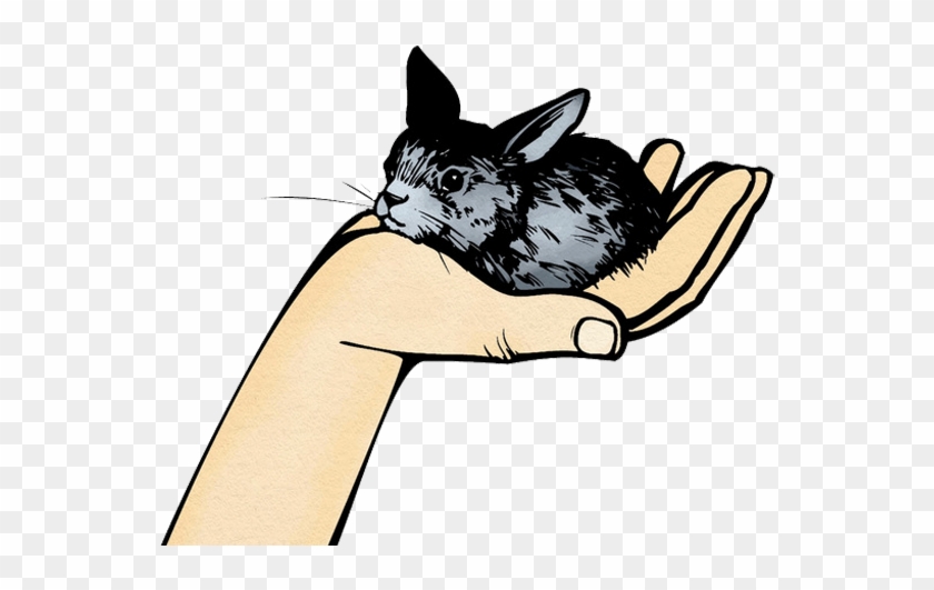 Whiskers Chinchilla Rabbit Clip Art - Whiskers Chinchilla Rabbit Clip Art #495610