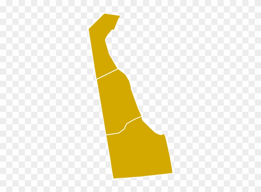 Delaware Democratic Presidential Primary Election Results - Election #495653