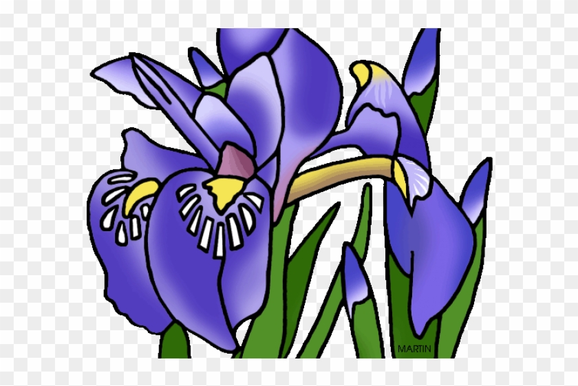 Iris Clipart Clip Art - Iris #496738