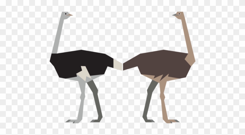 Ostrich #496814
