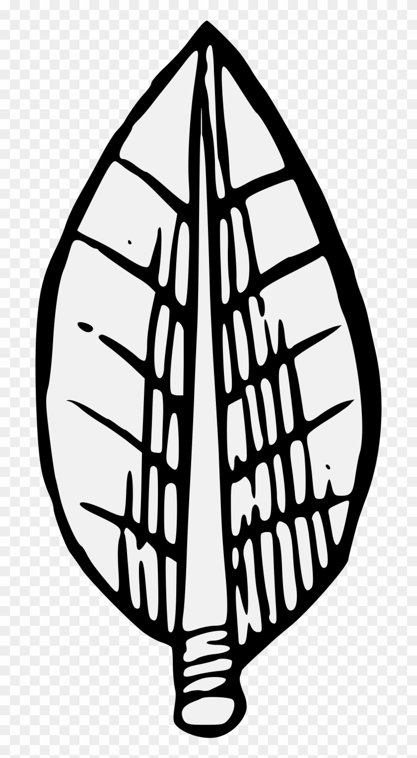 A Display Of Heraldrie Bay Laurel Leaf Clip Art - A Display Of Heraldrie Bay Laurel Leaf Clip Art #497193