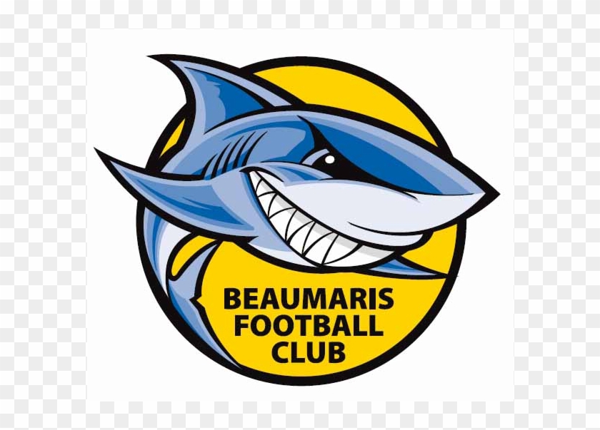 Published In Herald Sun On 03/04/2018 - Beaumaris Fc #497287