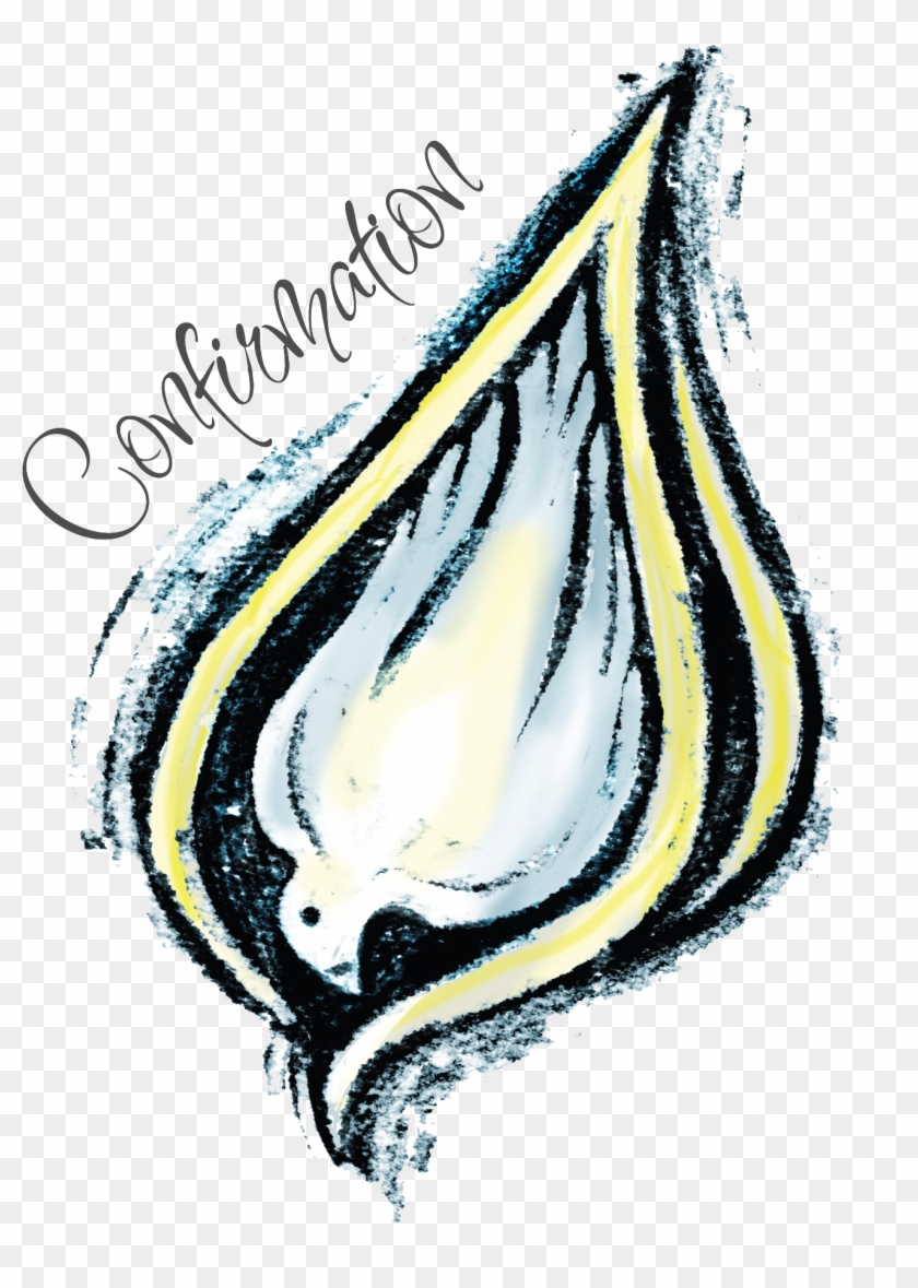 Affirmation Of Baptism Clipart - Affirmation Of Baptism Elca #497732