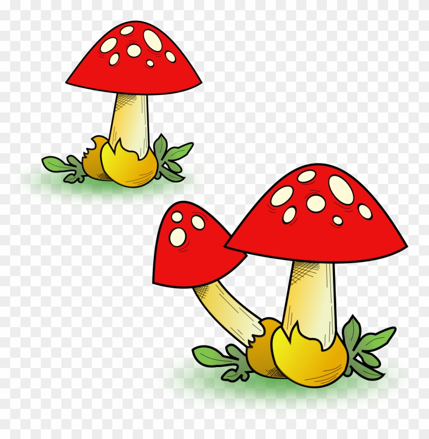 Heavy Fungal Forest - Transparent Mushroom Clipart #498179
