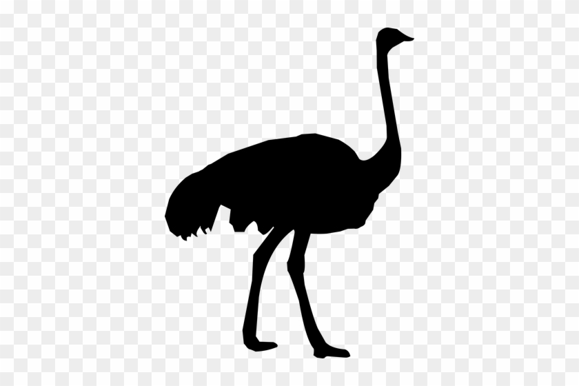 #alpaca #alpacas #hellohuman #illustration #comics - Ostrich Silhouette #498398