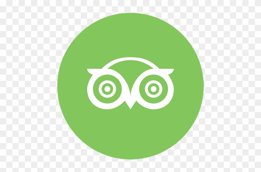 Tripadvisor Color Icon, Trip, Advisor, Travel Png And - Vector De Tripadvisor #498780