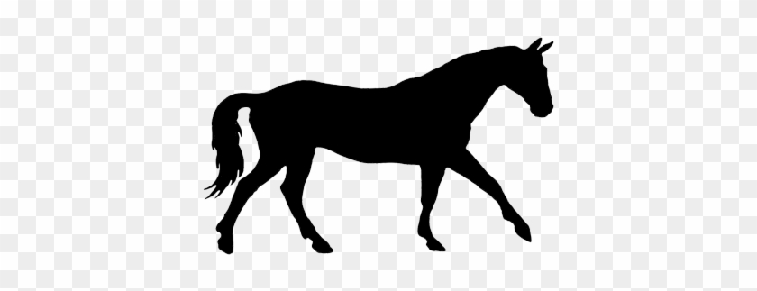 Silhouette Of A Horse #498888