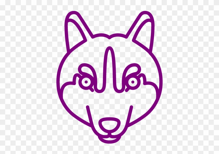 Gray Wolf #498991