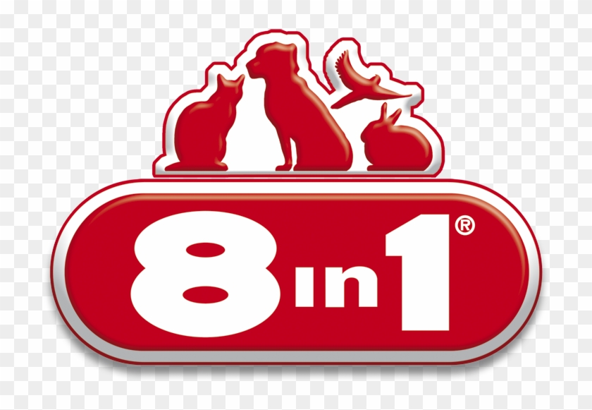Cat Food Dog Pet Shop - Cat Food Dog Pet Shop #499061