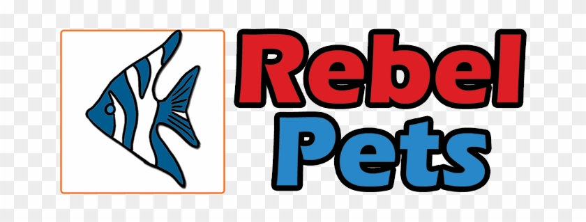 Online Pet Shop - Pet Store #499080