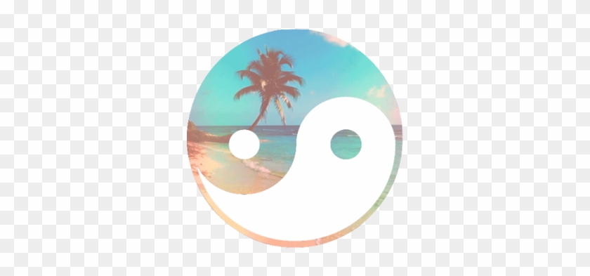 1000 Images About Funny - Tropical House Music Logo #499206