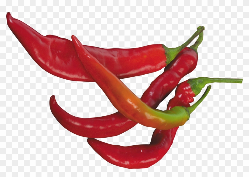 Hot - Chili Peppers Transparent Background #499370