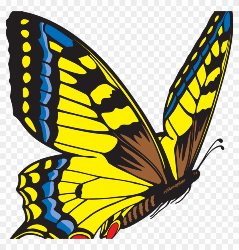 Butterfly Clipart Free Clipart Hatenylo Com Rh Hatenylo - Yellow Butterfly Clip Art #499389