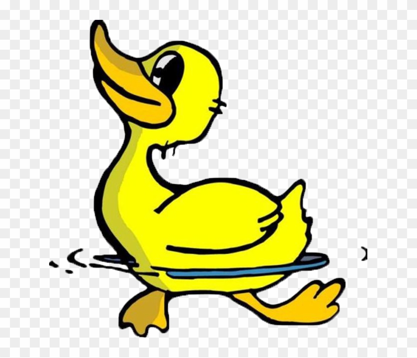 Swimming Duck 641*641 Transprent Png Free Download - Swimming Duck 641*641 Transprent Png Free Download #499547