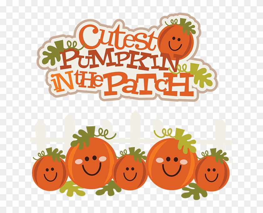 Fall Clipart Pumpkin Picking - Cutest Pumpkin In The Patch #499819