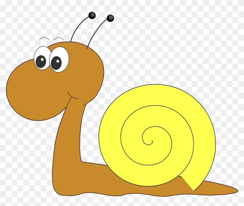 Snail Clip Art Medium Size - Snail Clipart No Background #499896
