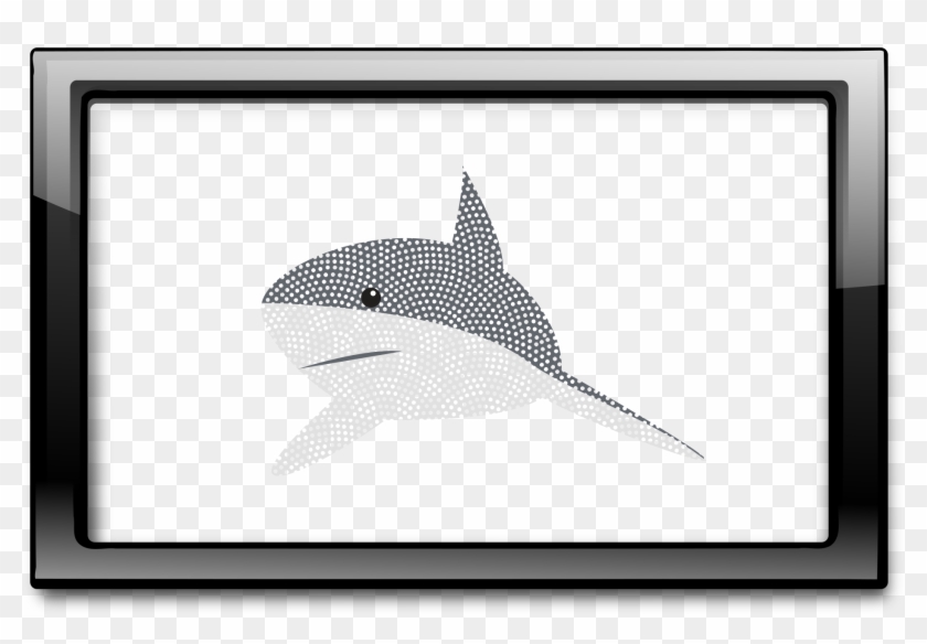 In Frame - Whale Shark #499990