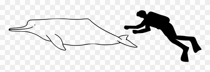 Dolphines Clipart Baiji - Whale Size #500204