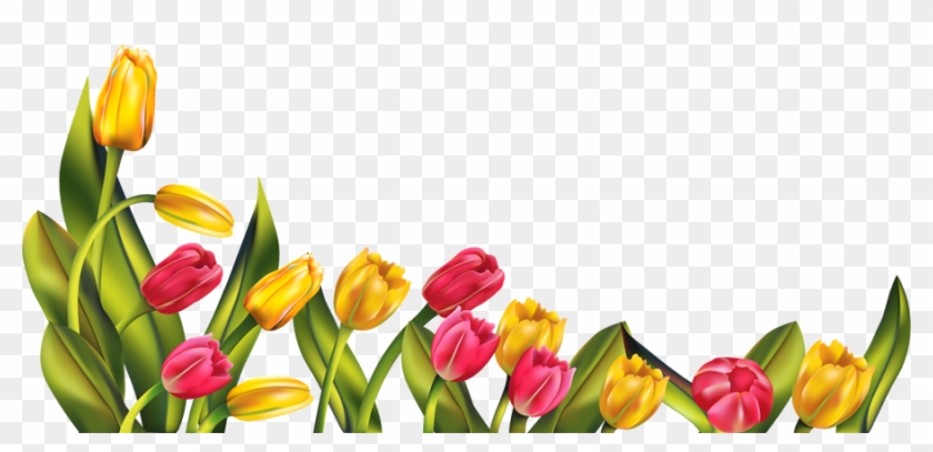 Download Png Image Report - Tulips Png #500929