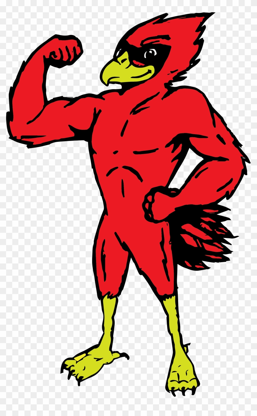 Junior Cardinals - Clipart Muscular Cardinal #501045